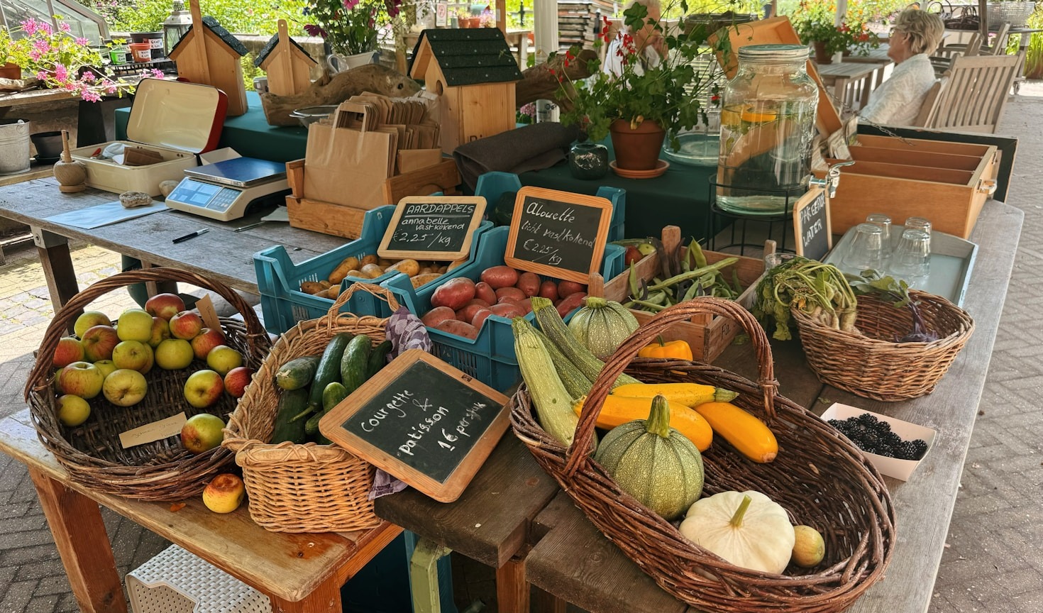 Environmental Initiatives for Sustainable Growth